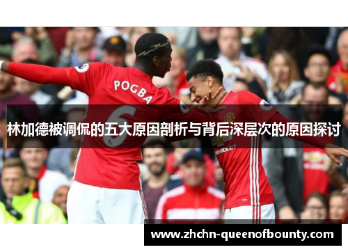 林加德被调侃的五大原因剖析与背后深层次的原因探讨 林加德被调侃的五大原因剖析与背后深层次的原因探讨