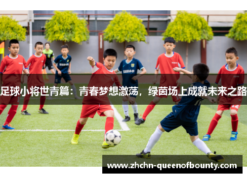 足球小将世青篇：青春梦想激荡，绿茵场上成就未来之路